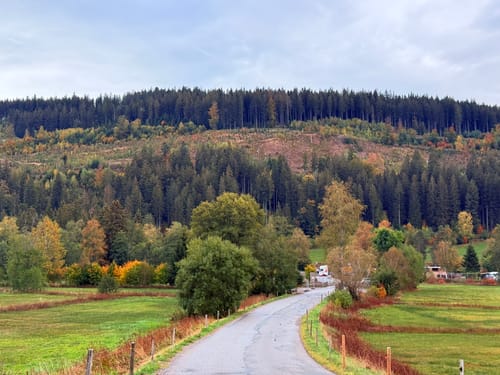 Titisee Rundweg