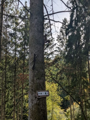 Fünf-Täler-Tour (Traumschleife)