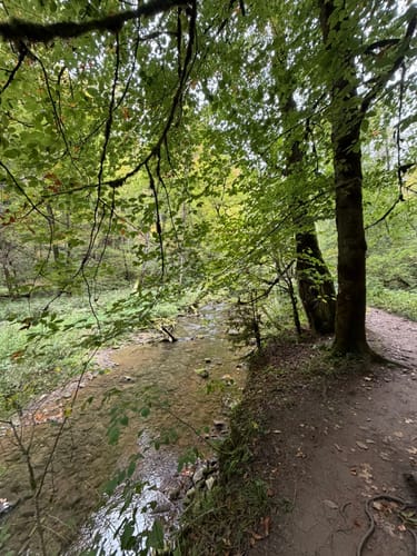 Drei-Schluchten-Wanderung