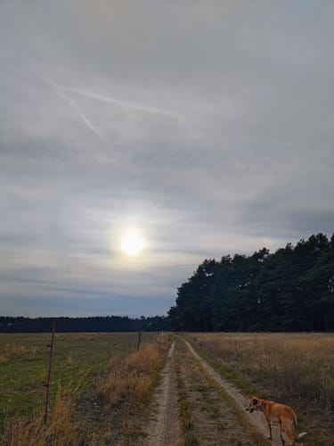Dobbrikow - Rieben See  Rundweg