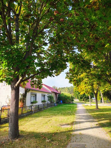 Dobbrikow - Rieben See  Rundweg