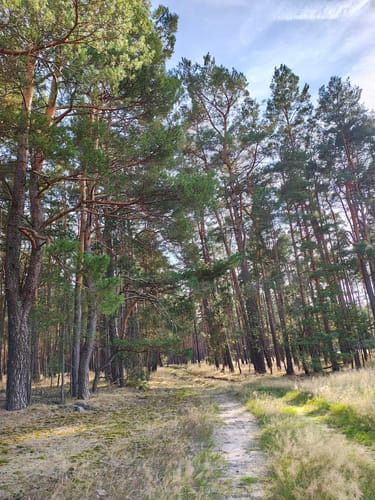 Dobbrikow - Rieben See  Rundweg