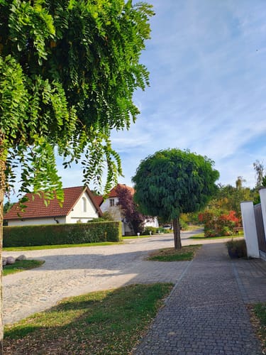 Dobbrikow - Rieben See  Rundweg