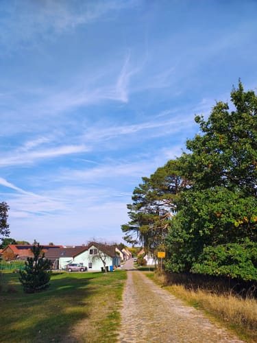 Dobbrikow - Rieben See  Rundweg