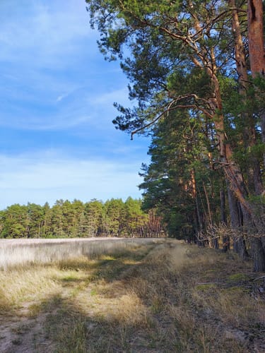 Dobbrikow - Rieben See  Rundweg