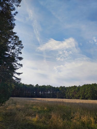 Dobbrikow - Rieben See  Rundweg