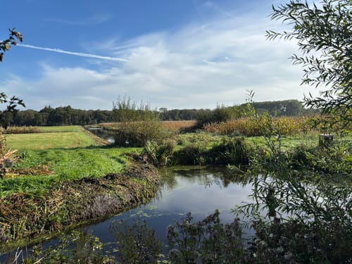 Vorstelijk Wandelen: De Horsten
