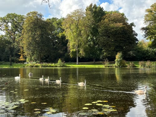 Vorstelijk Wandelen: De Horsten