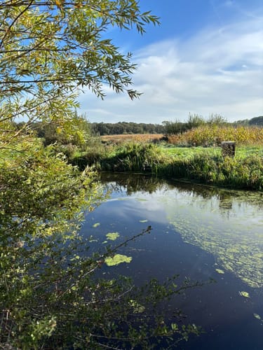 Vorstelijk Wandelen: De Horsten