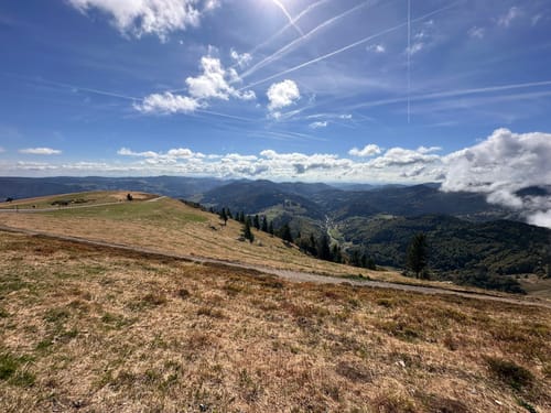 Belchensteig (Genießerpfad)