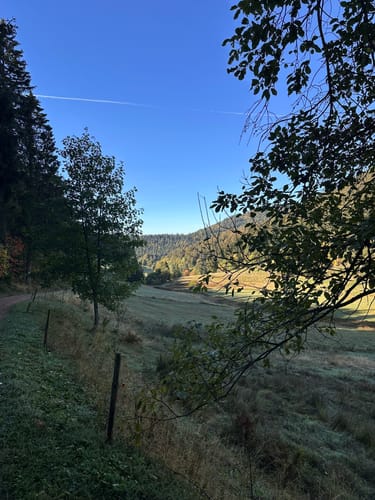 Belchensteig (Genießerpfad)