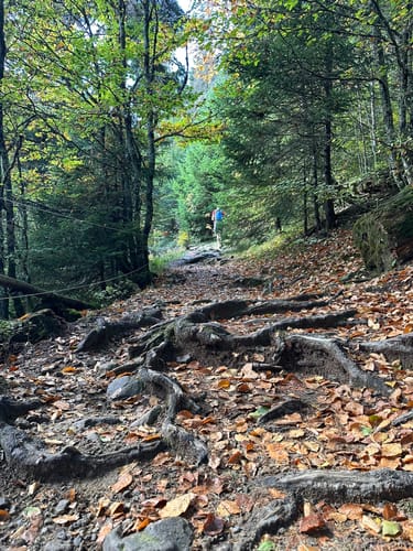 Belchensteig (Genießerpfad)