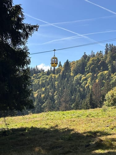 Belchensteig (Genießerpfad)