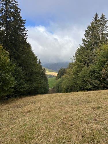 Belchensteig (Genießerpfad)