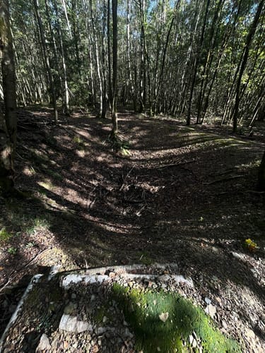 Zwischen Bürbach und Breitenbach