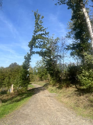 Zwischen Bürbach und Breitenbach