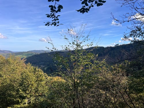 Bödenfelder Hollenpfad (Premiumwanderweg)