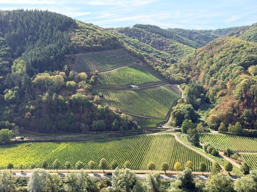 Moselsteig Etappe 18: Beilstein - Cochem