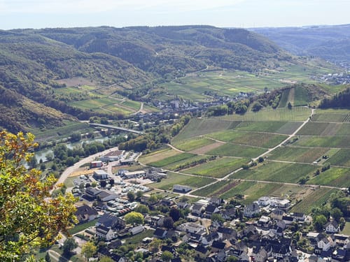 Moselsteig Etappe 18: Beilstein - Cochem