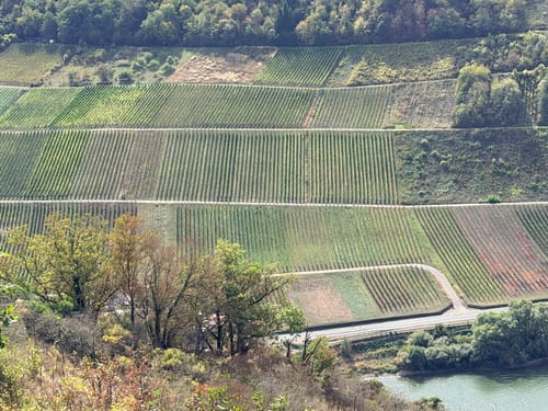 Moselsteig Etappe 18: Beilstein - Cochem