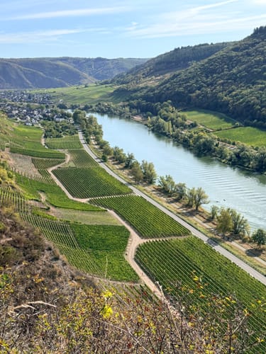 Moselsteig Etappe 18: Beilstein - Cochem