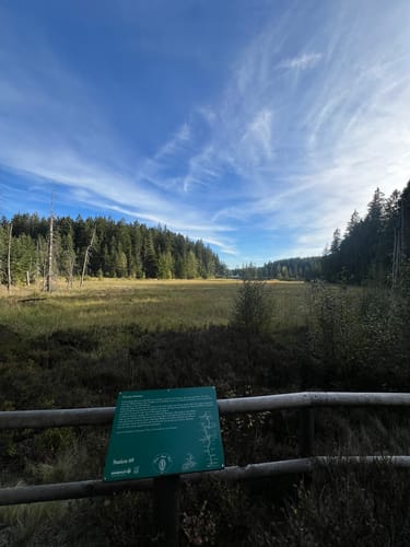 Silberhaus - Platte - Nusshardt - Schneeberg - Fichtelsee