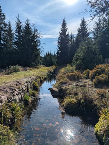 Rund um Oderbrück