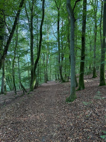 Holzhaus - Schwarzenberg - Wallau