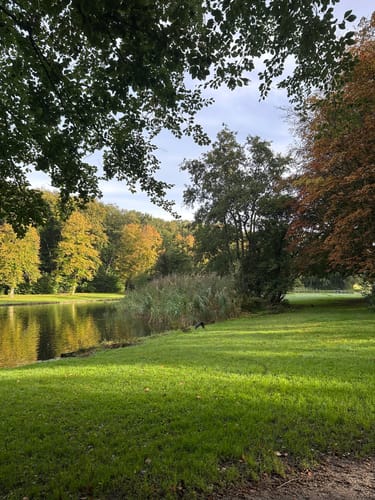NS-Wandeling: Meijendel