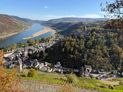 Weinwanderweg Bacharach