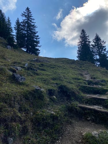 Spitzingalmen und Spitzingscheibe