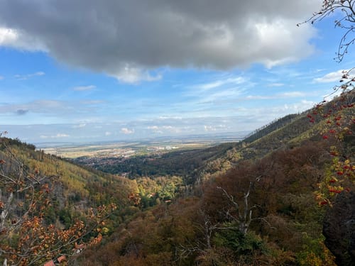 Ilsestein und Forsthaus Plessenburg
