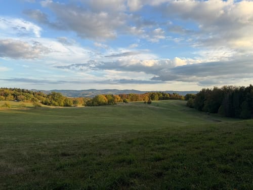 Rundwanderweg Mörlenbach 5: Bonsweiher Weg