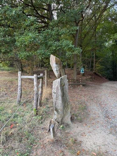 Rundwanderweg Mörlenbach 5: Bonsweiher Weg