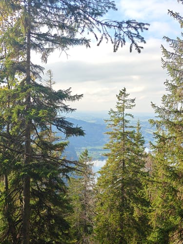 Auf den Jochberg
