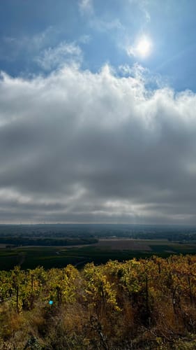 Hiwweltour Zornheimer Berg