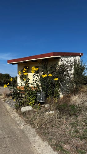 Hiwweltour Zornheimer Berg