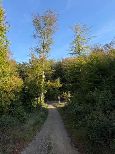 Odenwald: Kirschhausen Rundweg