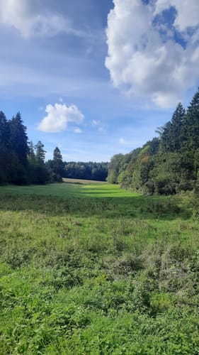 Varusturm - Bardenburg - Dörenberg