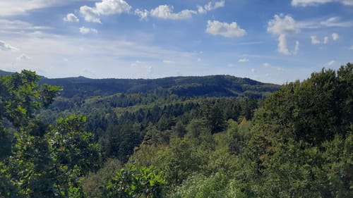 Varusturm - Bardenburg - Dörenberg