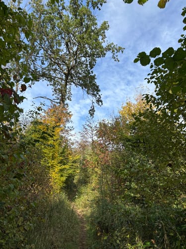 Rundwanderweg Weende – Tour blaues Quadrat