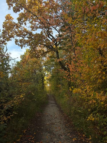 Rundwanderweg Weende – Tour blaues Quadrat
