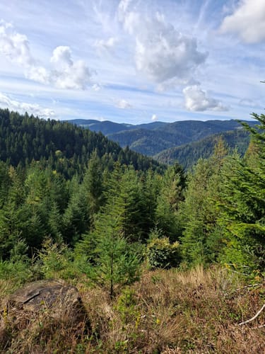 Auf Felsenwegen von Hornberg zu den Schlossfelsen