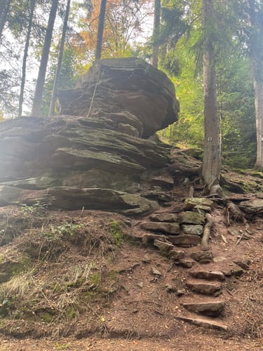 Wasser-, Wald- und Wiesenpfad (Premiumwanderweg)