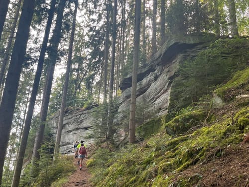 Wasser-, Wald- und Wiesenpfad (Premiumwanderweg)