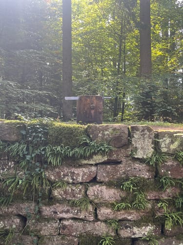 Wasser-, Wald- und Wiesenpfad (Premiumwanderweg)