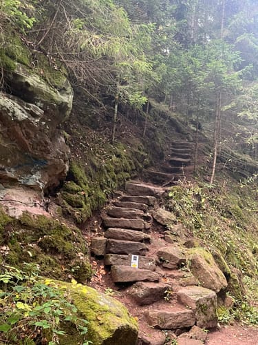 Wasser-, Wald- und Wiesenpfad (Premiumwanderweg)