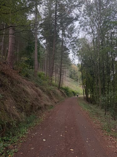 Von Mayen zum Bürresheim-Blick