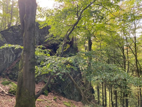 Gipfel- und Aussichtstour Tour 1 - Bad Tabarz