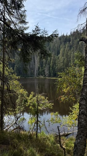 Von Ruhestein zum Wildsee